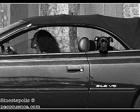 ANGELA SPRING ANGELA SPRING. Angela Spring, después de su sonora ruptura con el carismático Glenn, se ha trasladado al extremo de Third street promenade con sus vestidos...